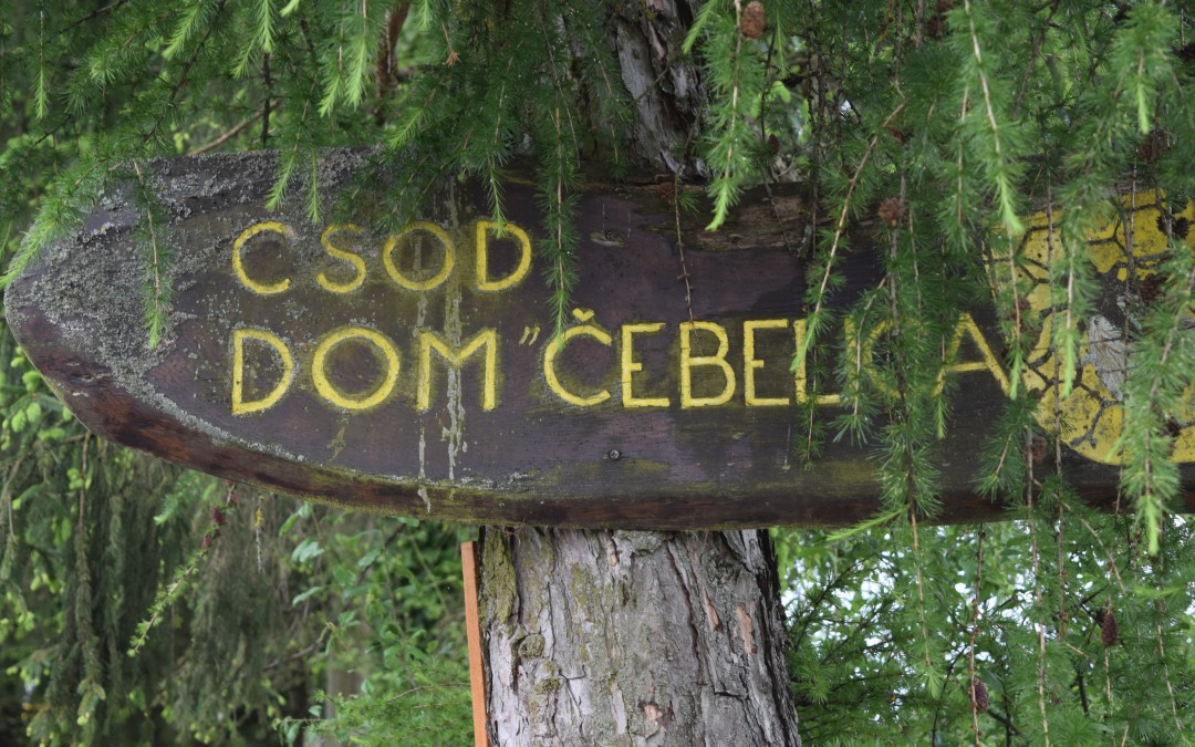 CŠOD ČEBELICA, 4. razred